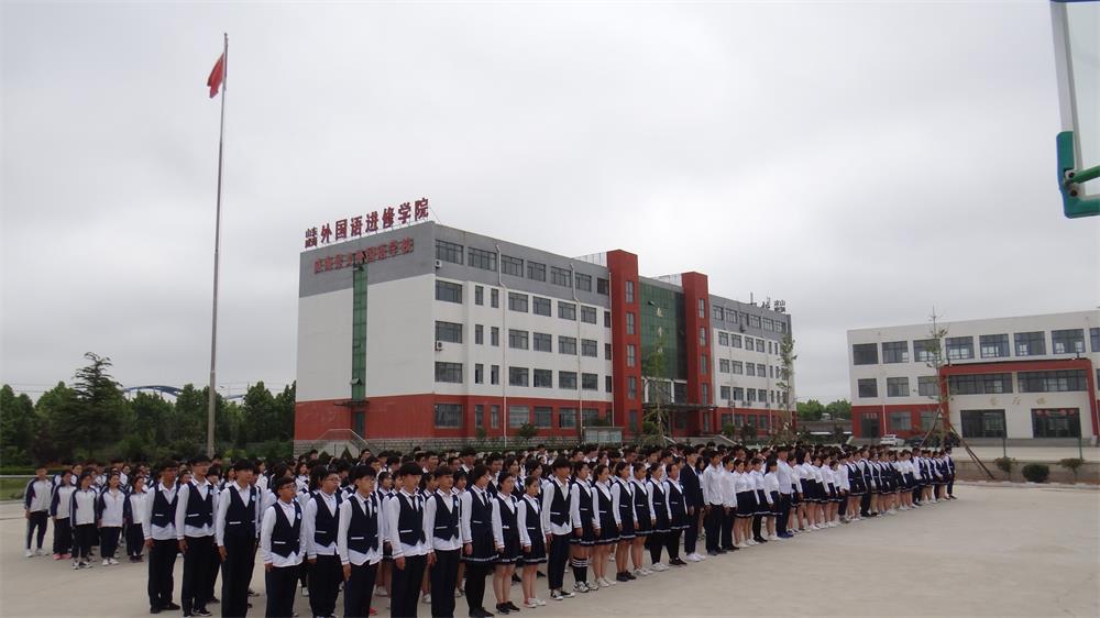 ɽ�|��������Z�M�ތWԺ2019����������