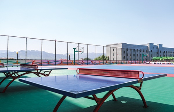 ɽ�|�|����WԺ2021����������