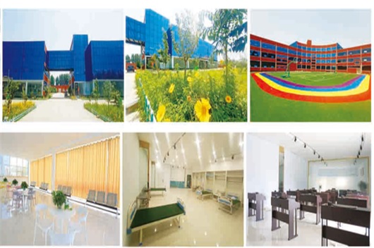 ɽú���������WԺ2022����������